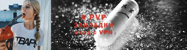 PSILOCYBIN Сясьстрой