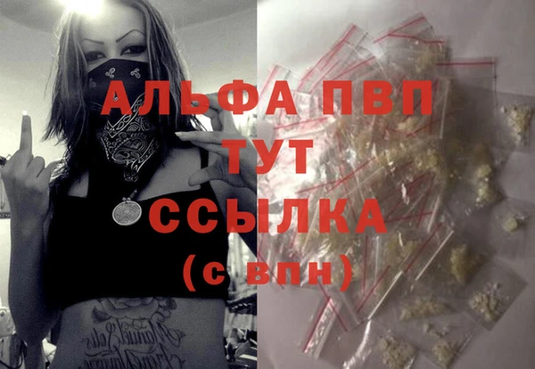 PSILOCYBIN Сясьстрой