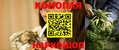 прущие крисы Кингисепп