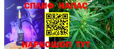 прущие крисы Кингисепп