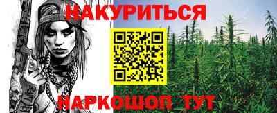 прущие крисы Кингисепп