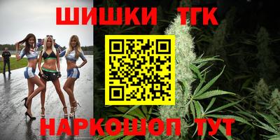 прущие крисы Кингисепп