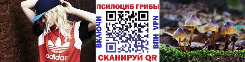 Галлюциногенные грибы Cubensis  Омск 